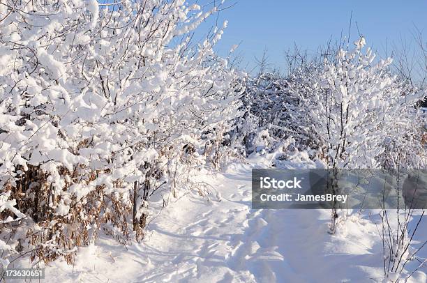 Neve Sulla Strada - Fotografie stock e altre immagini di Bellezza naturale - Bellezza naturale, Bianco, Composizione orizzontale