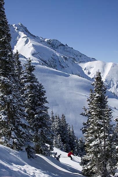 스키어 신선한 가루눈 - skiing powder snow snow telluride 뉴스 사진 이미지