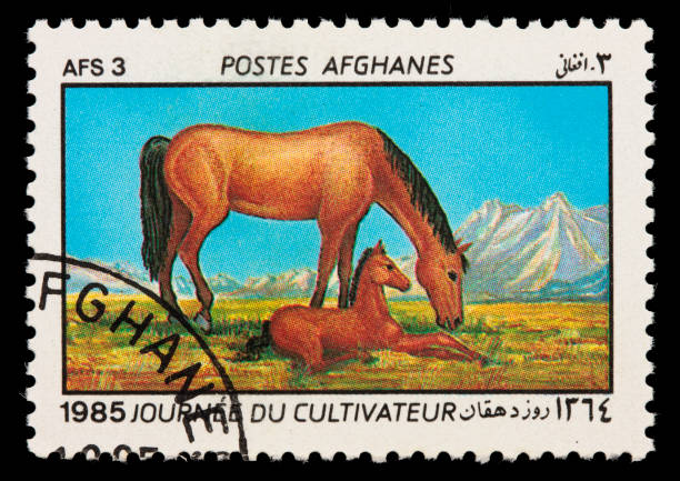 istock Afghanistan mare and foal postage stamp 173631502