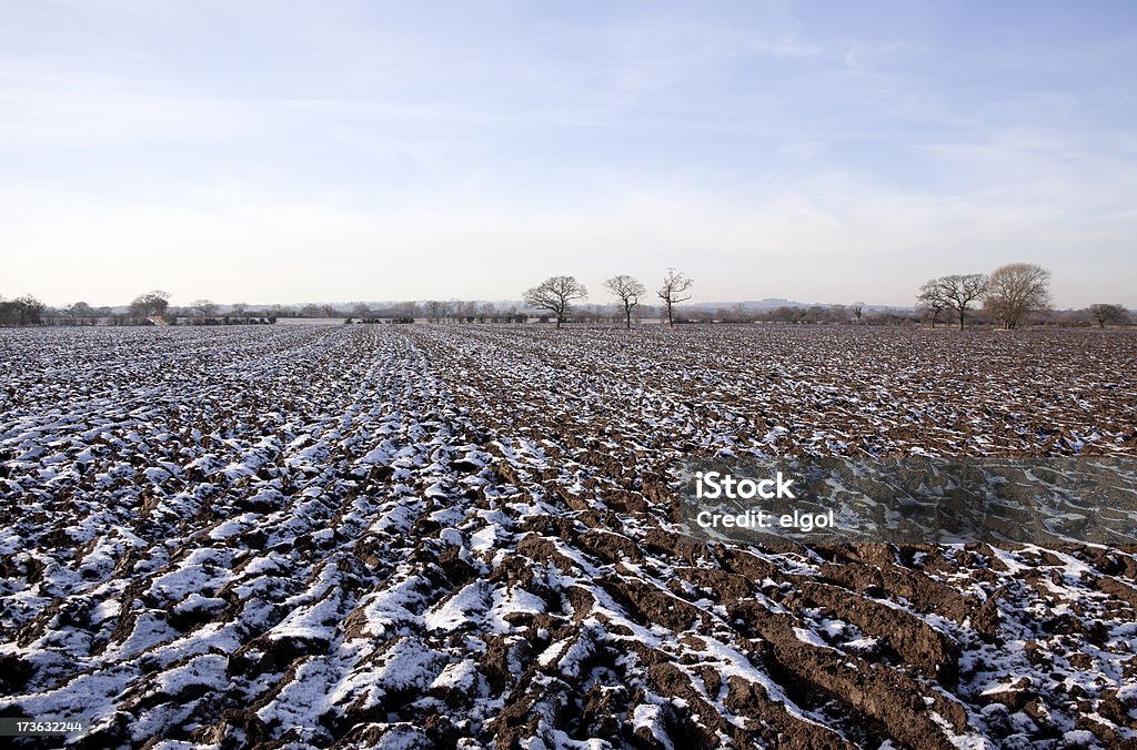 Campo gelada com neveweather forecast - Royalty-free Agricultura Foto de stock