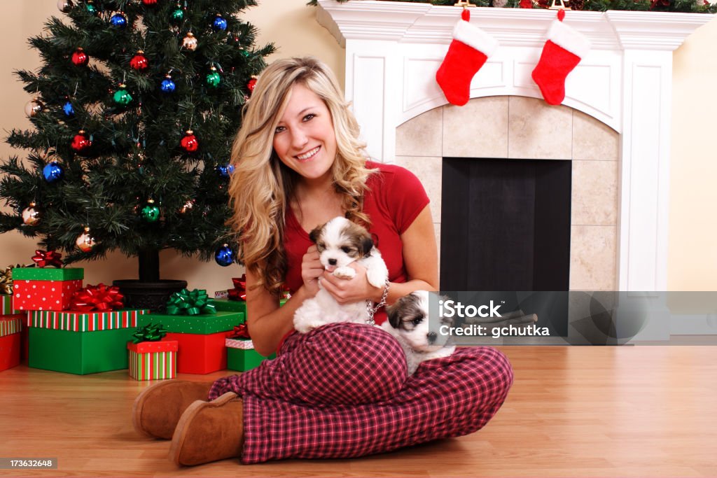 Due Cuccioli di Natale - Foto stock royalty-free di 18-19 anni