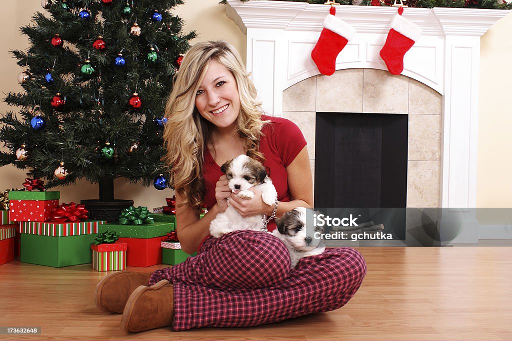 子犬の 2 つのクリスマス - 18歳から19歳のロイヤリティフリーストックフォト
