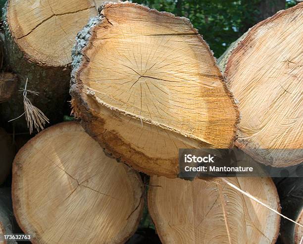 Foto de Caixas De Madeira e mais fotos de stock de Anel de Árvore - Anel de Árvore, Amontoamento, Bosque - Floresta