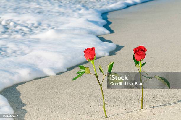 Rose Nella Sabbia Su San Valentino Daycopy Spazio - Fotografie stock e altre immagini di Acqua - Acqua, Acqua fluente, Ambientazione esterna