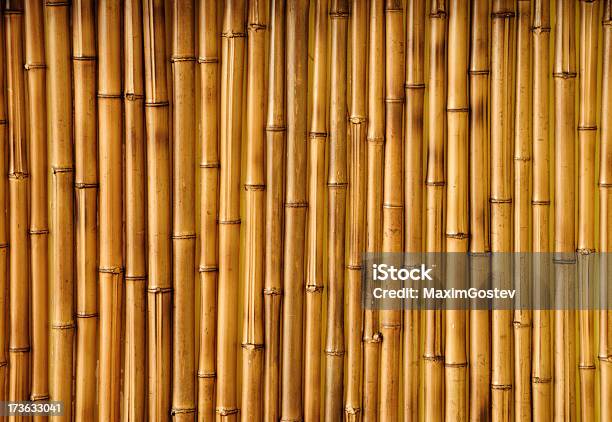 Textura De Bambú Foto de stock y más banco de imágenes de Bambú - Familia de la Hierba - Bambú - Familia de la Hierba, Bambú - Material, Valla - Límite