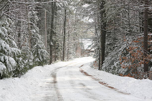 Road leading back to cabin in the woods.