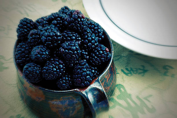 istock Cup of fresh blackberries on Cloth 173633550