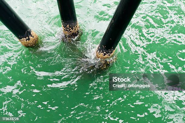 Dock Supporta - Fotografie stock e altre immagini di Acqua - Acqua, Alga, Ambientazione esterna