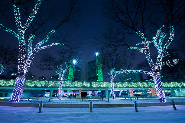istock Toronto during the Winter Holidays 173633833