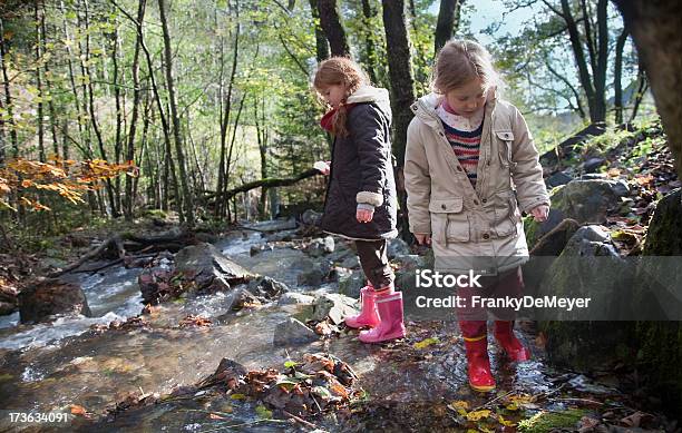 Kinder Durch Den Fluss Im Wald Stockfoto und mehr Bilder von 6-7 Jahre - 6-7 Jahre, 8-9 Jahre, Aktivitäten und Sport