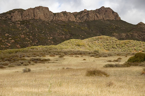 istock Grassland Habitat in Santa Monica Mountains 173634221