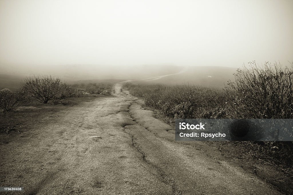 Estrada no Deserto - Foto de stock de Colina royalty-free