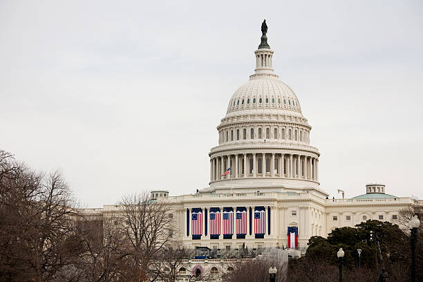 istock President Barack Obama's Inauguration, Washington DC Capitol Building 173634452