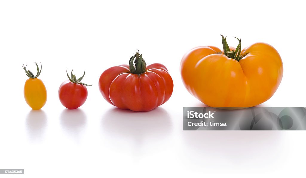 4가지의 유기 토마토색 품종 - 로열티 프리 0명 스톡 사진