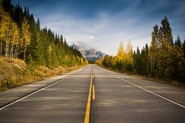 Road through the mountains Highway into nature canada trip stock pictures, royalty-free photos & images