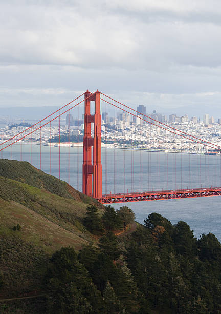 샌프란시시코 골든 게이트 - san francisco county suspension bridge cityscape marin tower 뉴스 사진 이미지