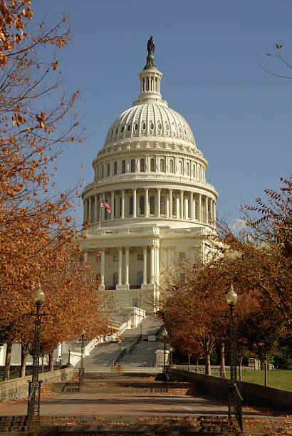 istock Autumn at the Capitol 173636096