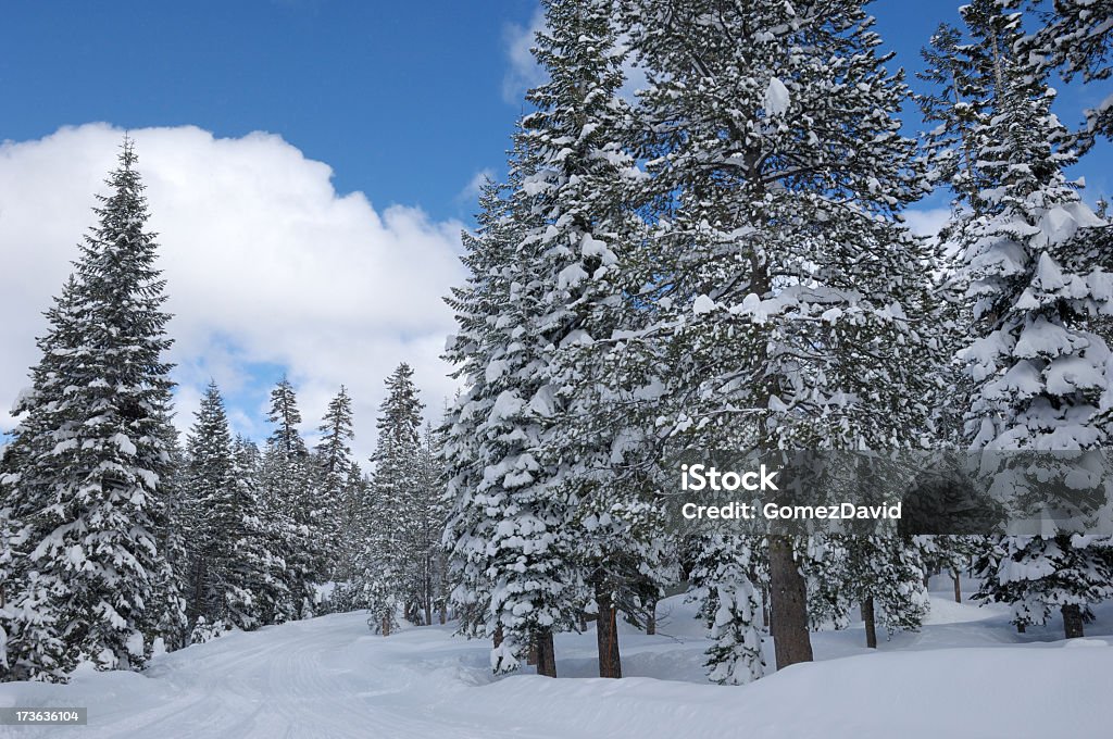 Estrada coberta de neve a uma recente tempestade - Foto de stock de Alto - Descrição Geral royalty-free