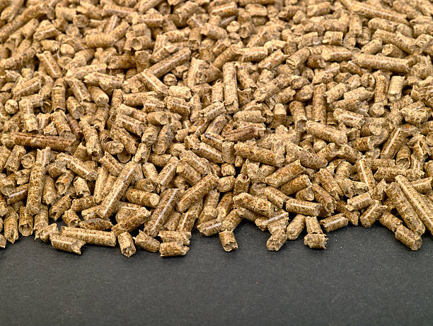 istock Wood Pellet boarder on black 173636333