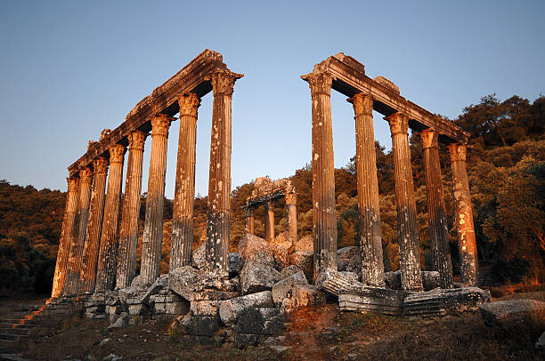 Euromos Zeus Temple Very peaceful historical scenery of Eurosmos Zeus Temple ruins under olive tree at sunset. natural column stock pictures, royalty-free photos & images