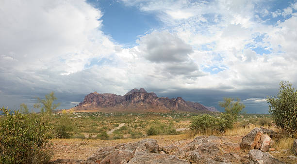 panorama de montanha-arizona - sahuaro imagens e fotografias de stock