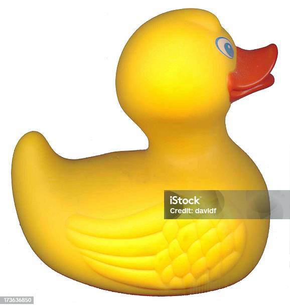 고무 Ducky 가정의 방에 대한 스톡 사진 및 기타 이미지 - 가정의 방, 고무, 고무 오리