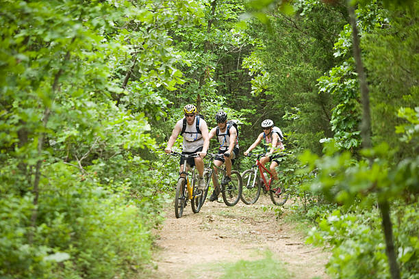 istock Three people mountain biking in the forest 173636941