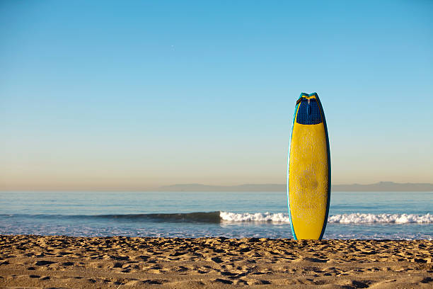 Tôt le matin de Surf - Photo