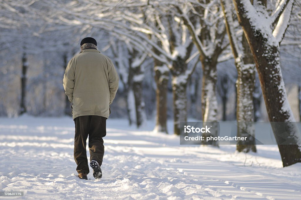 Park nella neve - Foto stock royalty-free di Inverno