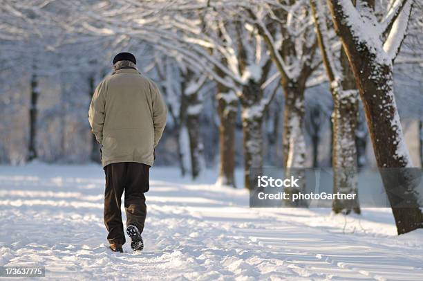 Park Nella Neve - Fotografie stock e altre immagini di Inverno - Inverno, Terza età, Camminare