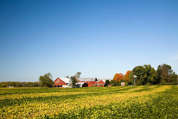 ニュージャージー農業、レッドのバーンズ、大豆フィールド、ブルースカイ - windmill cultivated land crop day ストックフォトと画像