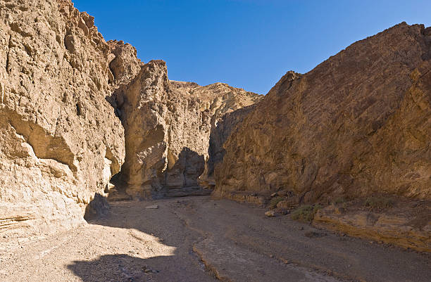 istock Desert canyon dry river bed 173638615