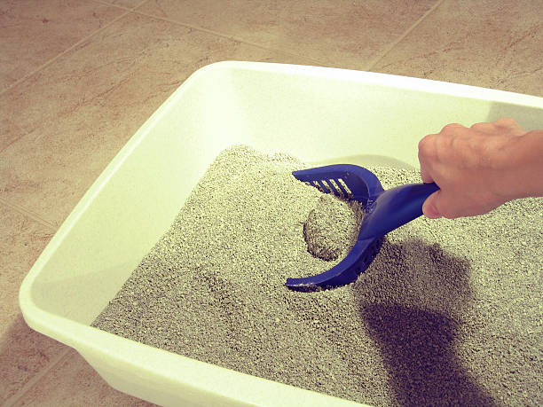 pet zdrowia: nosze - litter box box clean shovel zdjęcia i obrazy z banku zdjęć