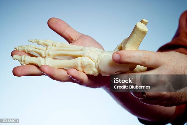Foto de Pé Humano e mais fotos de stock de Podólogo - Podólogo, Anatomia, Articulação Humana - Termo anatômico