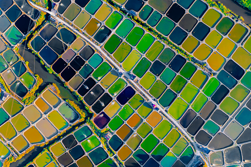 Aerial view of colorful shrimp farm in Ningbo City, China