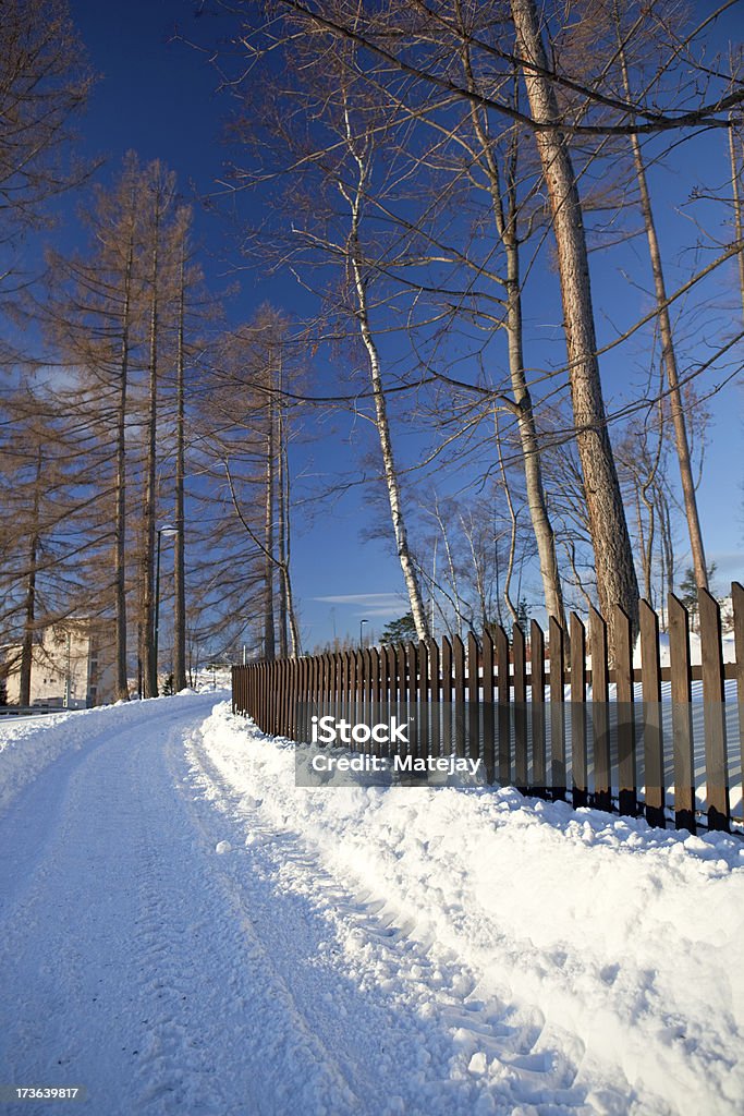 I Monti degli Alti Tatra montagne in Slovacchia - Foto stock royalty-free di Albero