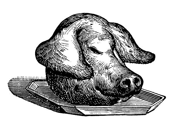 Vintage Clip Art and Illustrations | Pig Head on Tray "Antique engraving of a pig head on a tray, isolated on white. Very high XXXL resolution image scanned at 600 dpi.CLICK ON THE LINKS BELOW FOR HUNDREDS SIMILAR IMAGES:" black meat tray stock illustrations