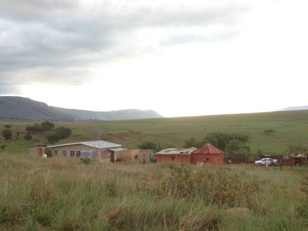 istock Zulu Homestead 1736406329