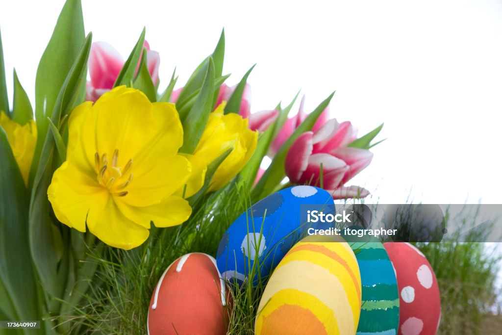 Tulpen und bemalten Ostereiern hand - Lizenzfrei Blume Stock-Foto