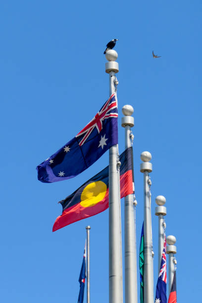 австралийские птичьи флаги - city urban scene canberra parliament house australia стоковые фото и изображения