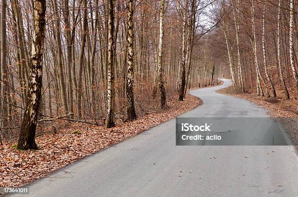 Geschwungene Road Stockfoto und mehr Bilder von Asphalt - Asphalt, Baum, Biegung