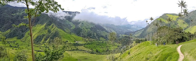 Panorama of green Cocora Valley with white clouds, Salento, Columbia