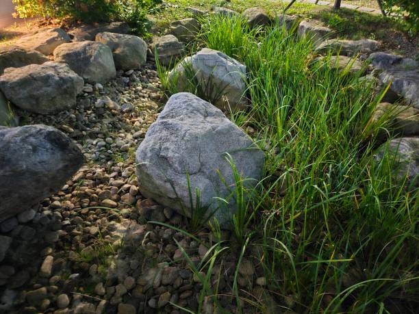 Free picture: big rocks, ground, grass plants, stones, nature, rock ...