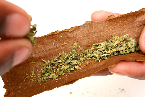 making a blunt making a blunt blunts stock pictures, royalty-free photos & images