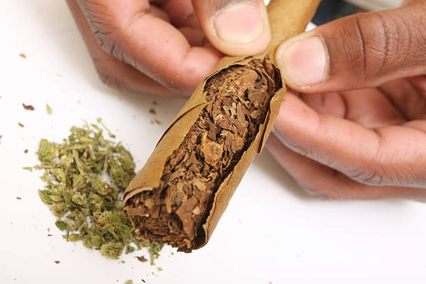 fixing up a blunt "fixing up a bluntplease view my related images(rolling a blunt, marijuana)" blunts stock pictures, royalty-free photos & images