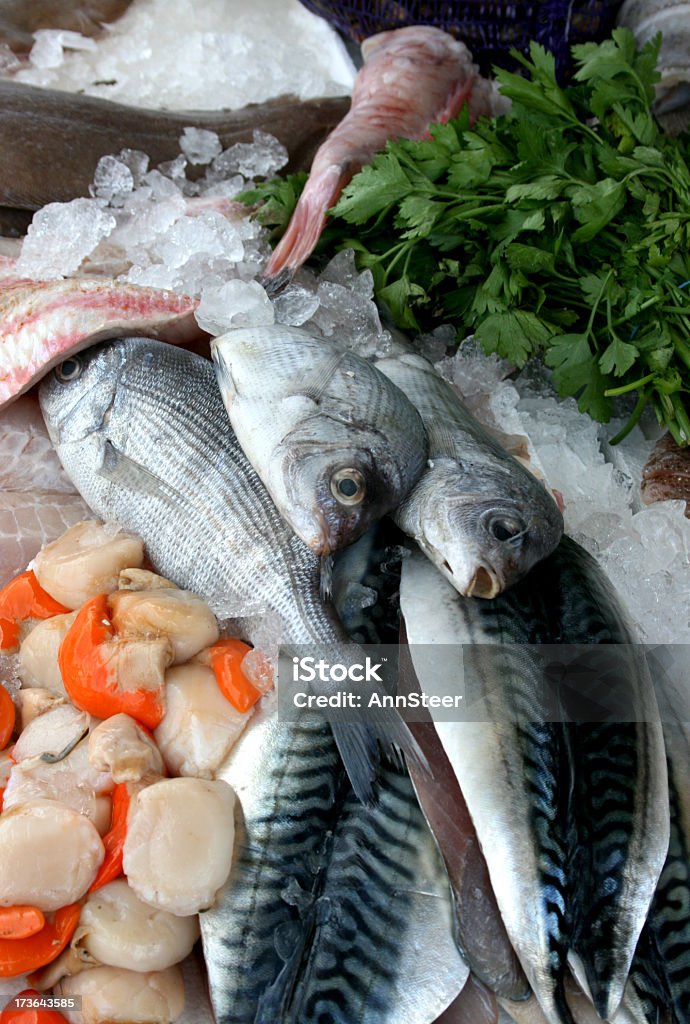 Captura do dia - Royalty-free Captura de Peixe Foto de stock