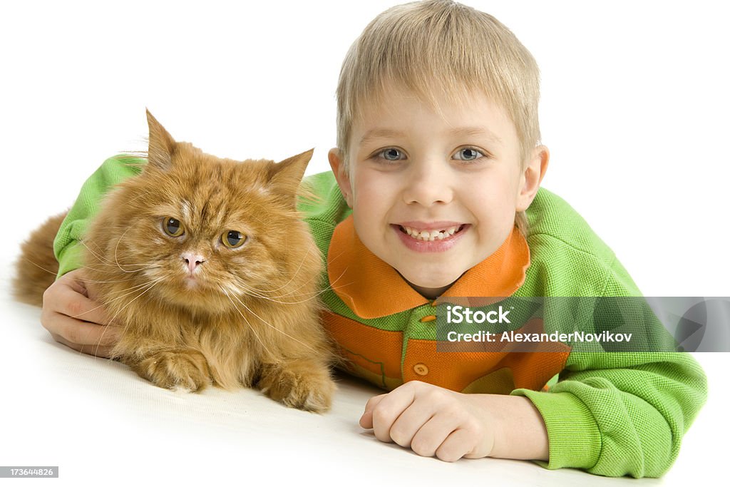 Divertido niño pequeño y graves cat .XXXL rojo - Foto de stock de 6-7 años libre de derechos