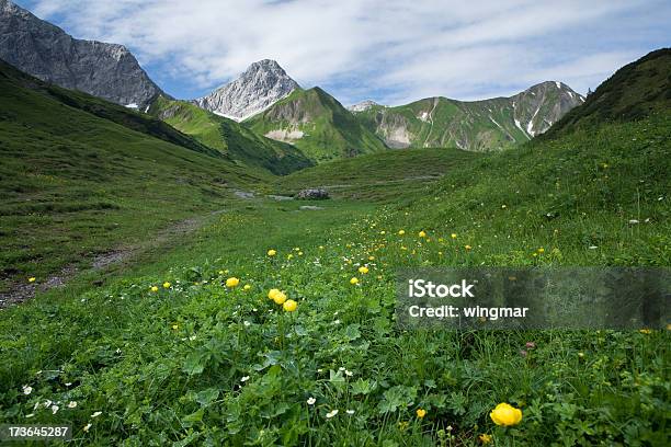 Lato W Góry - zdjęcia stockowe i więcej obrazów Alpy - Alpy, Austria, Bez ludzi