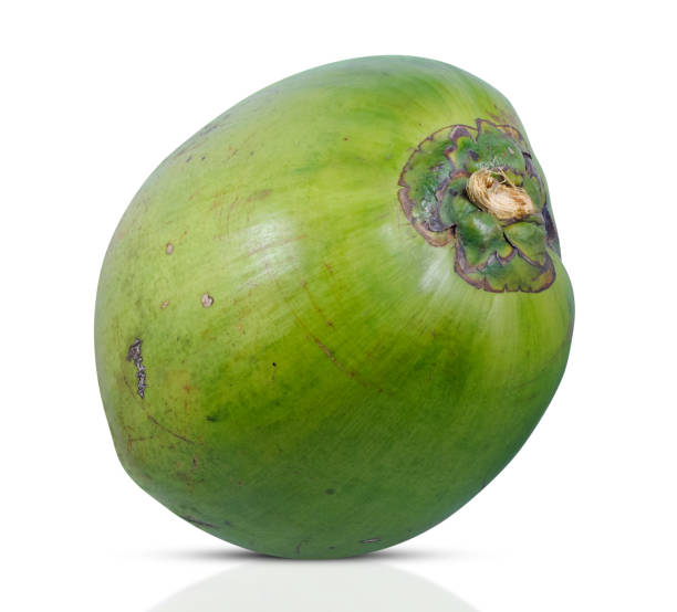 istock Coconut palm fruit isolated on white background 1736454478