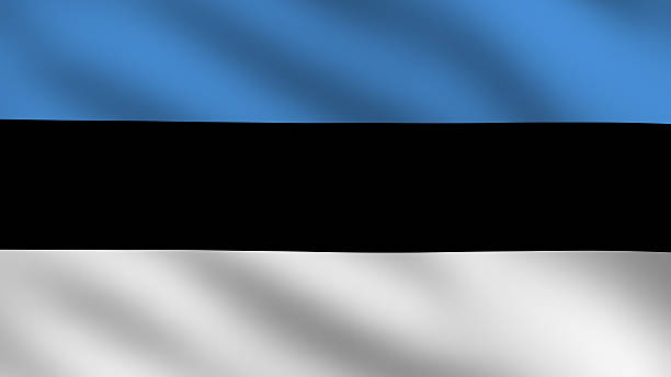 Estonian flag stock photo